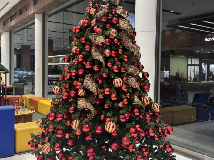 今年もクリスマスの時期がやってきました～‼